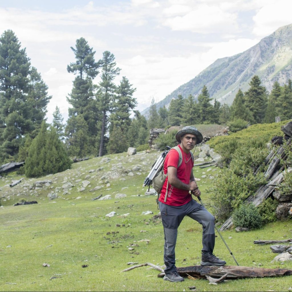 How Not to Resist Fairy Meadows?