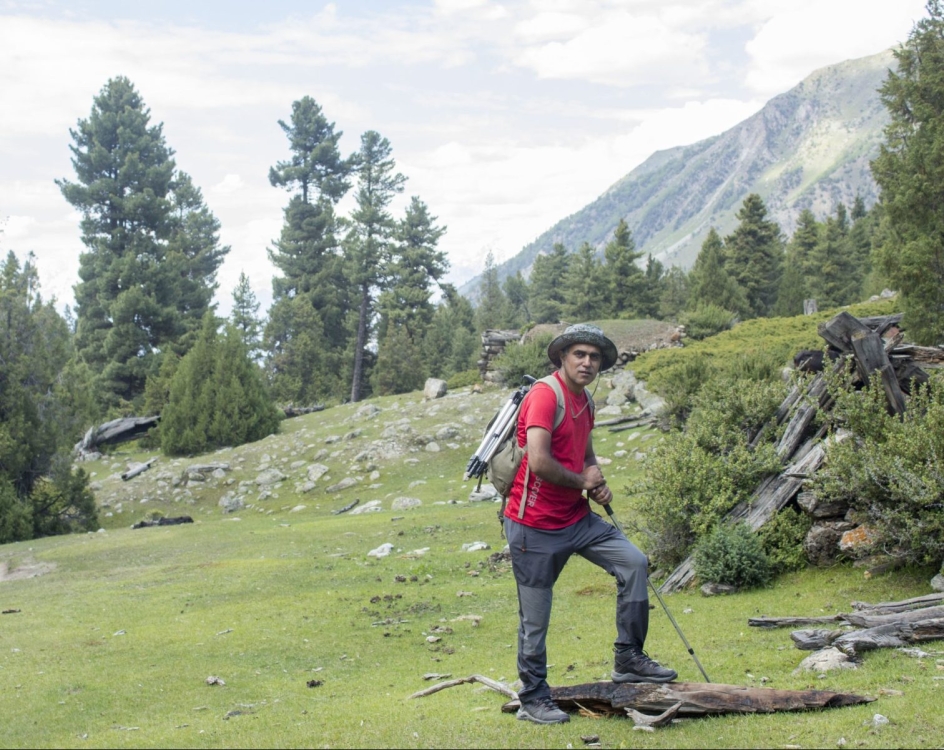 How Not to Resist Fairy Meadows?